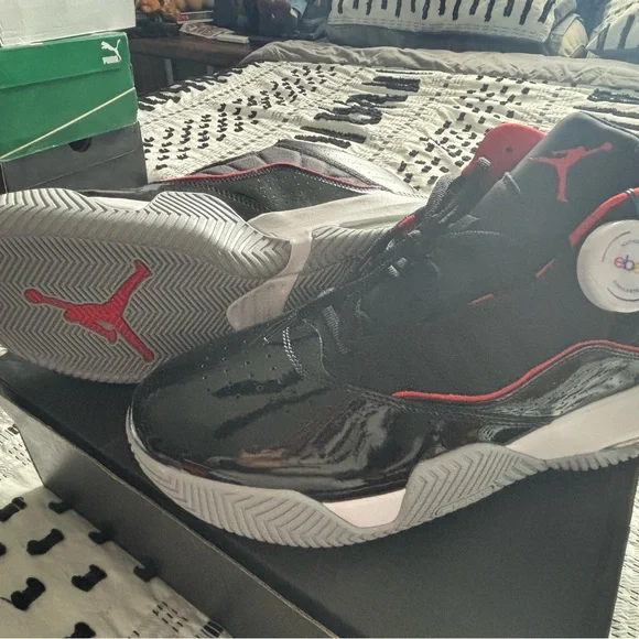 Jordan Flights - Picture 3 of 5